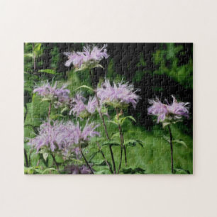 Paarse bijenbalmbloemen foto's schilderen legpuzzel