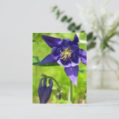 Paarse Blauwe Columbine Flower Briefkaart (Staand voorkant)