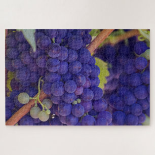 Paarse Blauwe Druiventrossen aan de Wijnstok Legpuzzel
