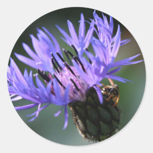 Paarse Blauwe Korenbloem Bruiloft Gift Sticker