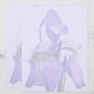 Paarse Blauwe Vlag Iris Bloem Briefhoofd