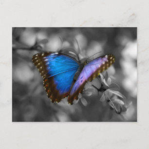Paarse blauwe vlinder briefkaart