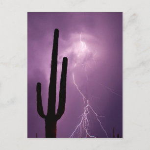 Paarse bliksem en cactus, AZ Briefkaart