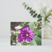 Paarse bloem briefkaart (Staand voorkant)