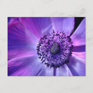 Paarse bloem briefkaart