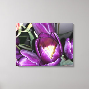 Paarse bloem canvas afdruk