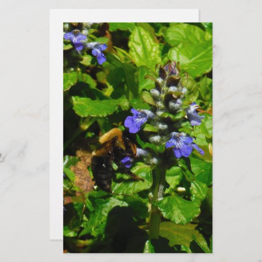 Paarse Bloem en Bumble Bee Briefpapier (Voorkant / Achterkant)