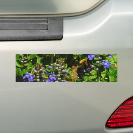 Paarse Bloem en Bumble Bee Bumpersticker (Op auto)