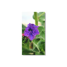 Paarse bloem lente flora collectie