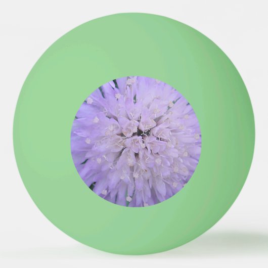 Paarse bloem pingpongballen (Voorkant)