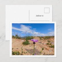 Paarse bloem van Armenië