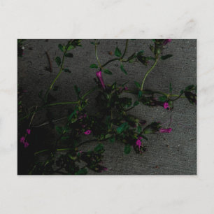 Paarse bloemen met diepe schaduwen briefkaart