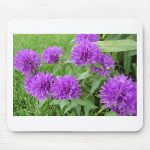 paarse bloemen muismat