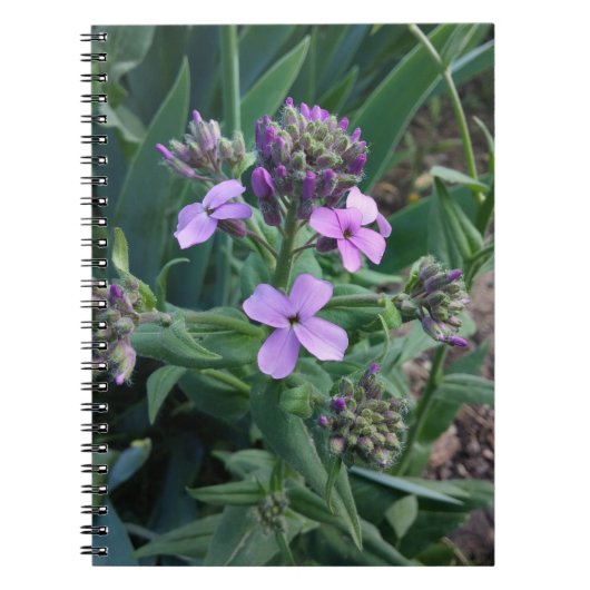 Paarse Bloemen Notitieboek (Voorkant)