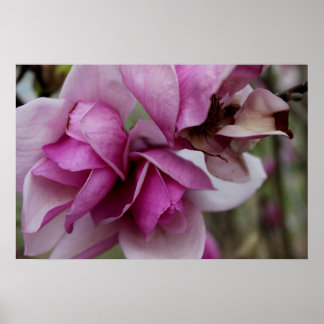 Paarse bloemen poster
