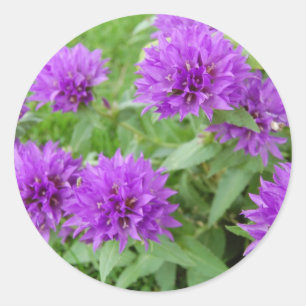 paarse bloemen ronde sticker