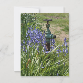 Paarse bloemen rondom  waterspuug briefkaart