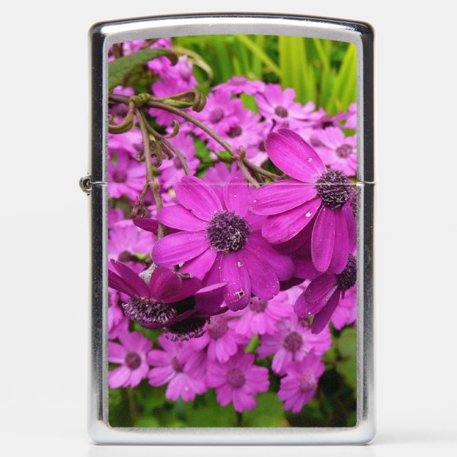 Paarse Bloemen uit San Francisco (Voorkant)