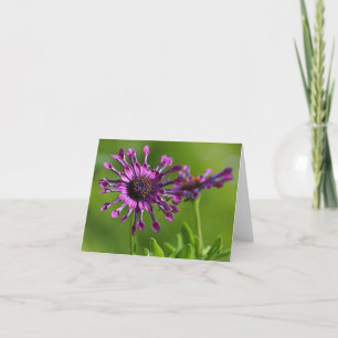 paarse bloemenbriefkaart kaart