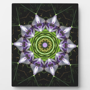 Paarse Bloemige Mandala Kaleidoscoop Kunst Fotoplaat