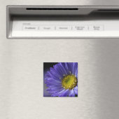 paarse bloemmagneet magneet (Insitu (Vaatwasser))