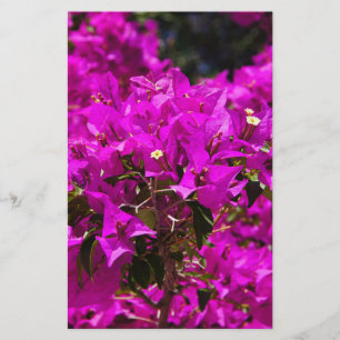 Paarse Bougainvillea bloemen Briefpapier