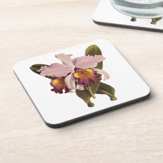 Paarse Cattleya Orchid, Tropische bloemen Onderzetter (Linkerzijde)