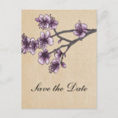 Paarse  Cherry Blossom Save the Date Aankondigingskaart (Voorkant)