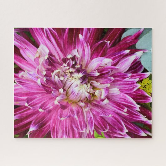 Paarse chrysanthemum - Bloem 16 x 20 Legpuzzel (Horizontaal)