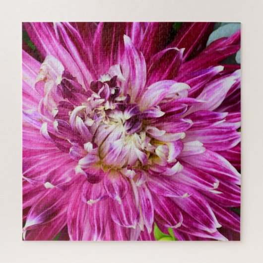 Paarse chrysanthemum - Bloem 20 x 20 Legpuzzel (Verticaal)