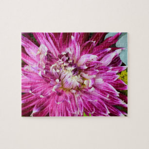 Paarse Chrysanthemum - Bloem Legpuzzel