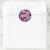 Paarse Chrysanthemum X Morifolium Flowers Ronde Sticker (Tas)