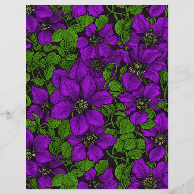 Paarse Clematis (Voorkant)