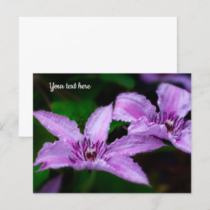 Paarse Clematis Ansichtkaart Briefkaart