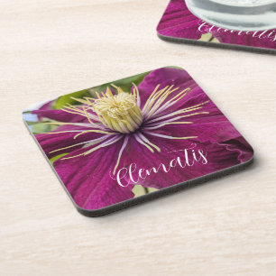 Paarse Clematis Bloei Bloem Bier Onderzetter