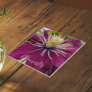 Paarse Clematis Bloem Bloesem Tegeltje