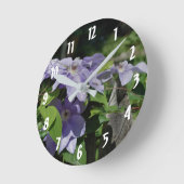 Paarse Clematis drijft op hek Ronde Klok (Hoek)