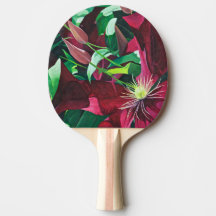 Paarse Clematis Floral