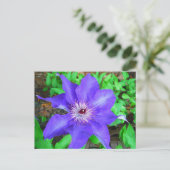 Paarse Clematis Flower Briefkaart (Staand voorkant)