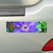 Paarse Clematis Flower Bumpersticker (Op auto)
