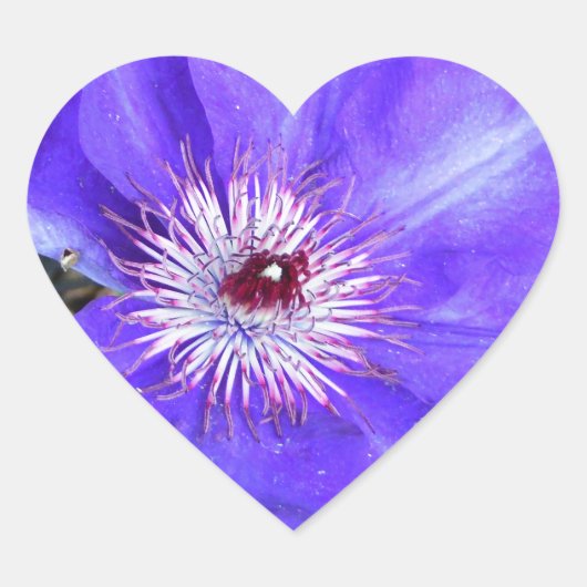 Paarse Clematis Flower Hart Sticker (Voorkant)