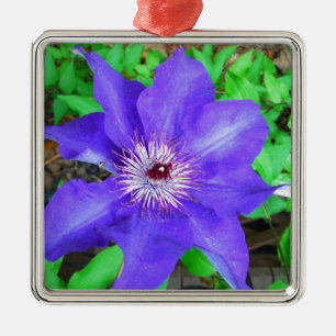 Paarse Clematis Flower Metalen Ornament