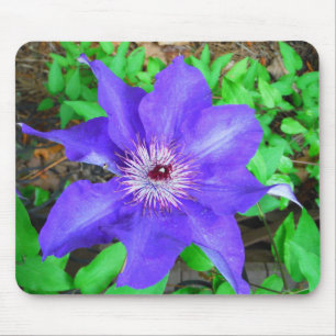 Paarse Clematis Flower Muismat