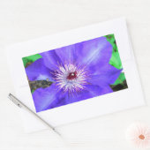 Paarse Clematis Flower Rechthoekige Sticker (Envelop)