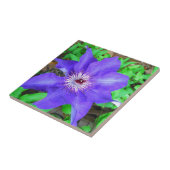 Paarse Clematis Flower Tegeltje (Zijkant)
