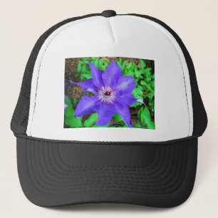 Paarse Clematis Flower Trucker Pet