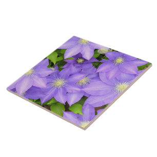 PAARSE CLEMATIS (FOTO) GROTE KERAMISCHE TEGEL / TR TEGELTJE