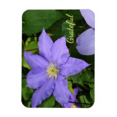 Paarse Clematis Gratitude Magneet (Verticaal)