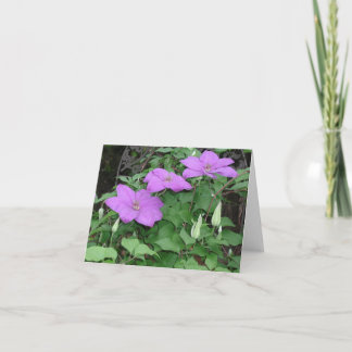 paarse clematis kaart