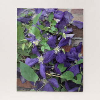 Paarse Clematis Legpuzzel
